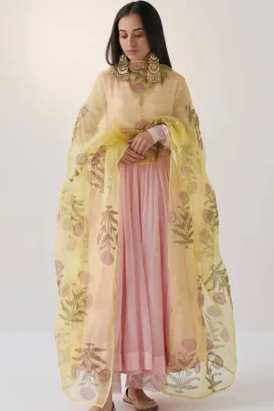 New Cotton Gowns For Womens Online Shopping